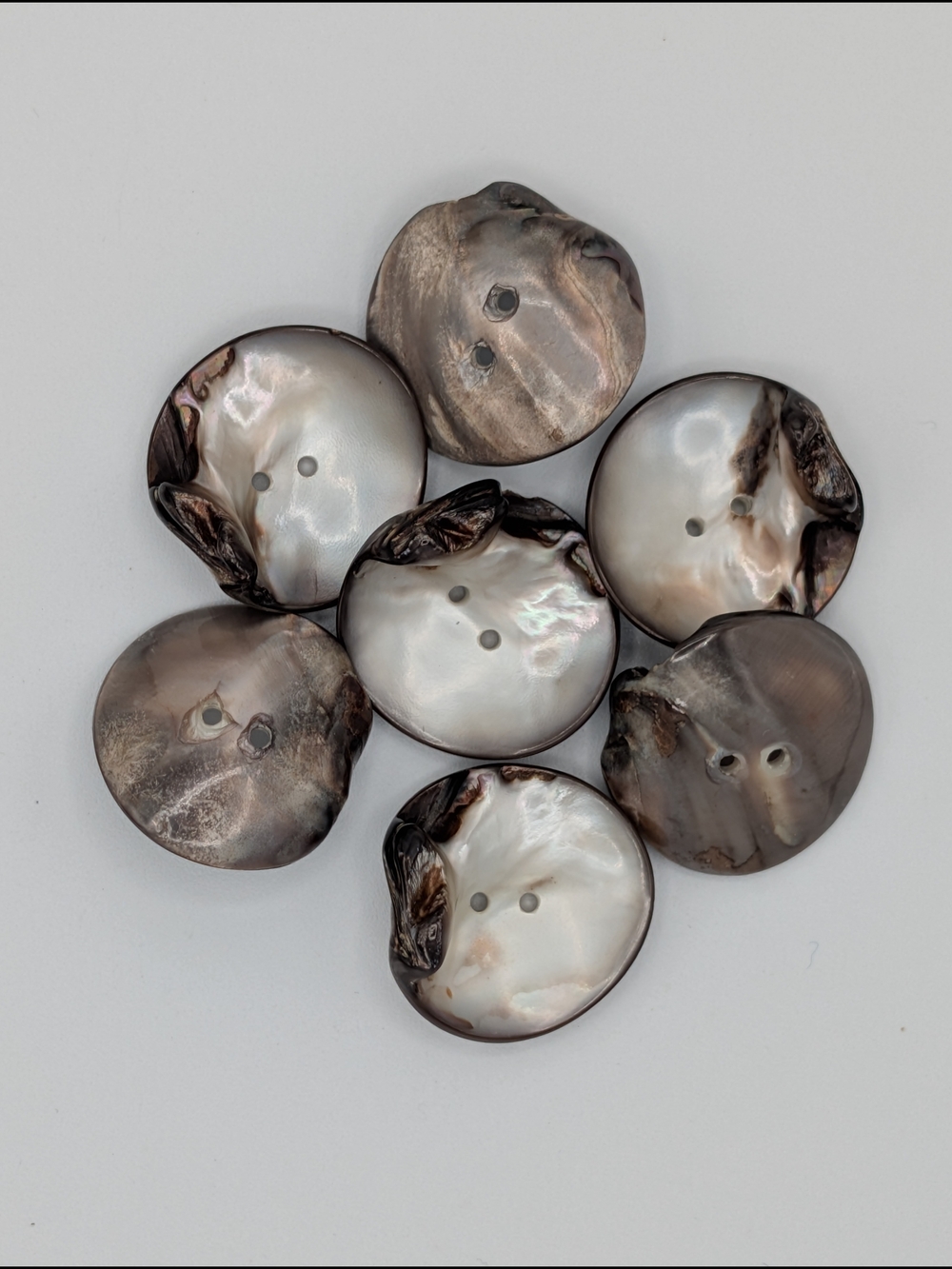 Natural Shell Buttons - Picture 3 of 6